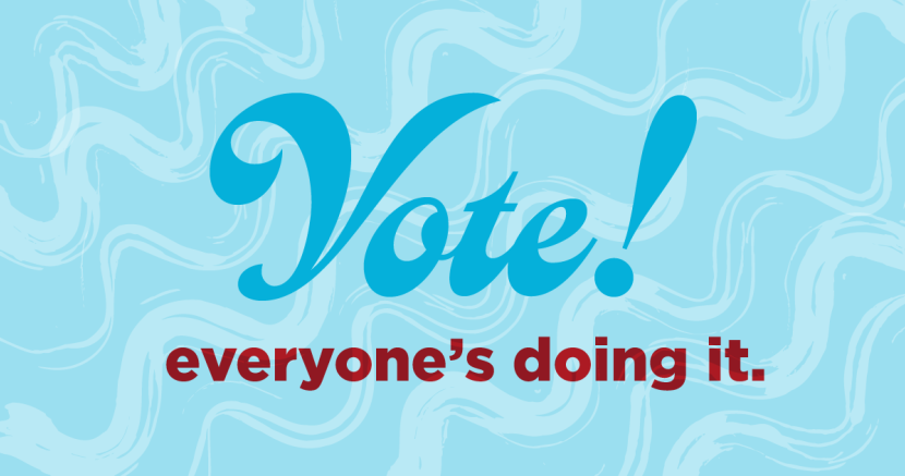 Voter Turnout Voter Turnout