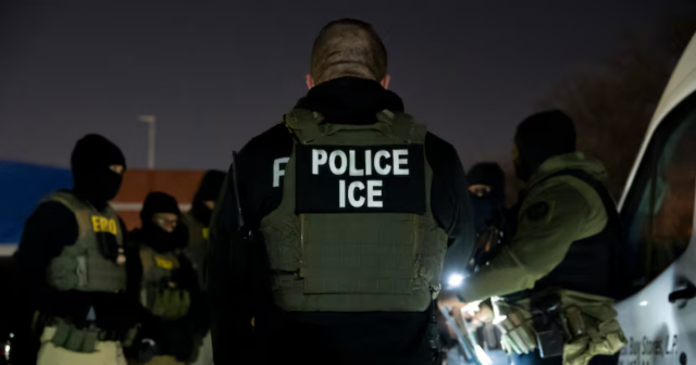 Back side of 'POLICE ICE' tactical vest