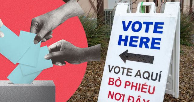 tarrant votes